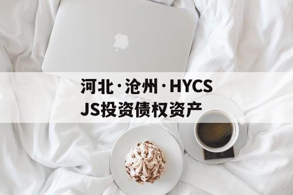 河北·沧州·HYCSJS投资债权资产-第1张图片-定融评测网