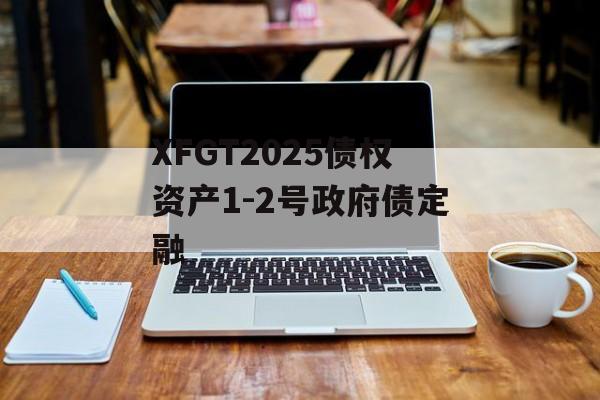 XFGT2025债权资产1-2号政府债定融-第1张图片-定融评测网