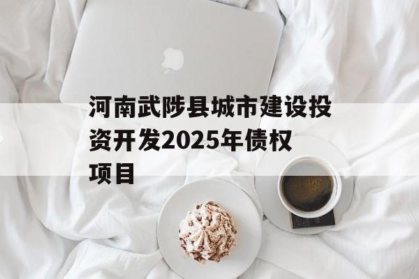 河南武陟县城市建设投资开发2025年债权项目-第1张图片-定融评测网