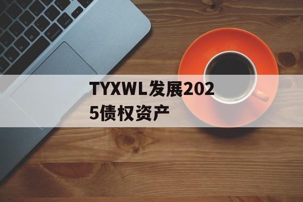 TYXWL发展2025债权资产-第1张图片-定融评测网