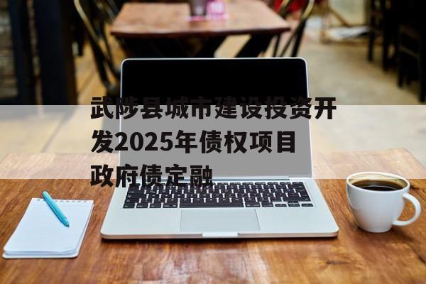 武陟县城市建设投资开发2025年债权项目政府债定融-第1张图片-定融评测网