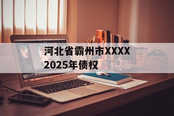 河北省霸州市XXXX2025年债权-第1张图片-定融评测网